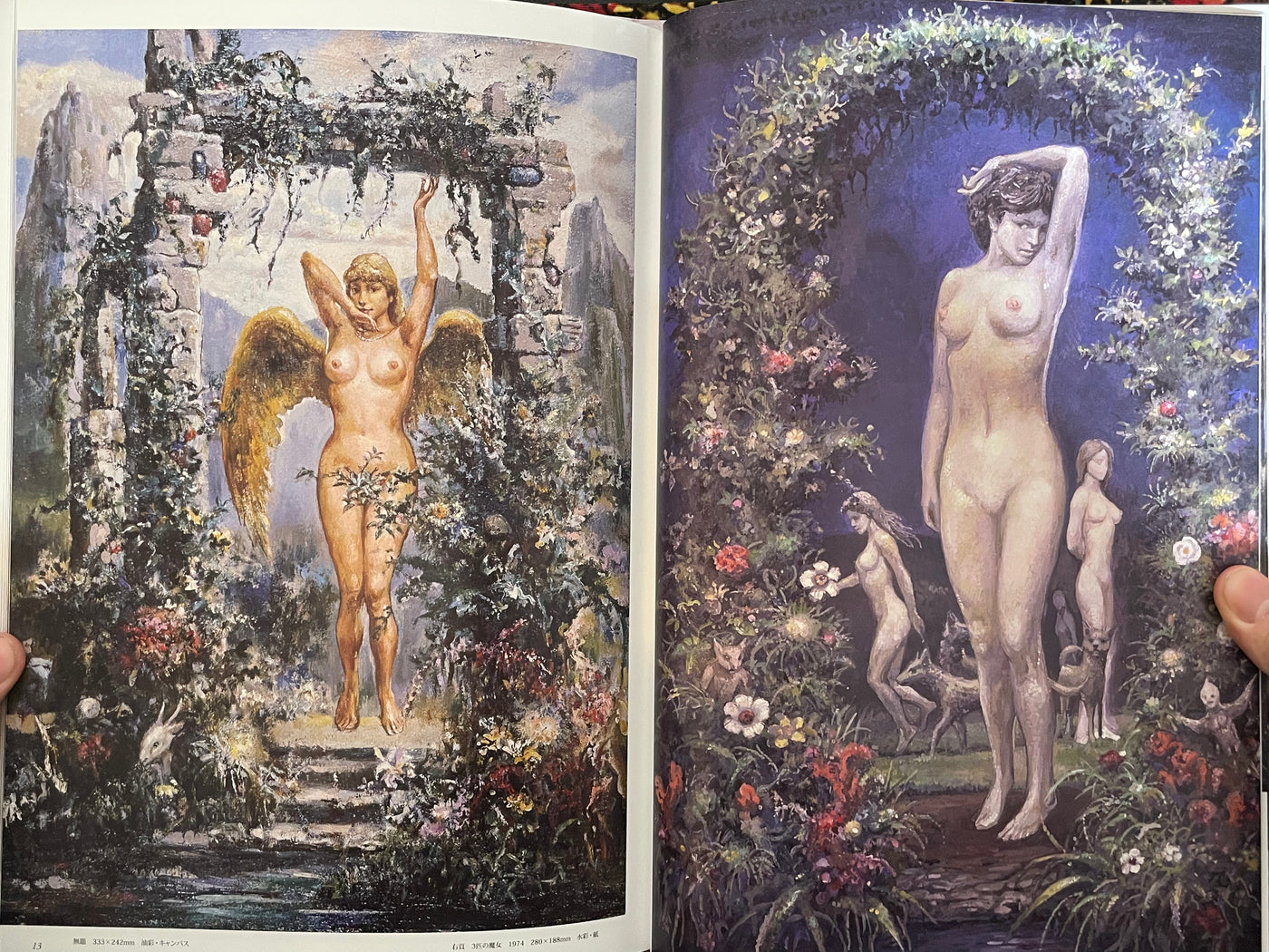Ran Akiyoshi Illusory Works: Faraway Primordial Illusions - Hardcover (2025)