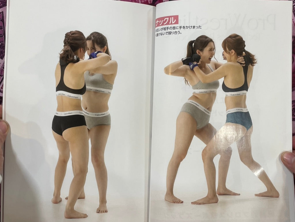 Absolute Pro Wrestling Techniques Posebook by (2024)