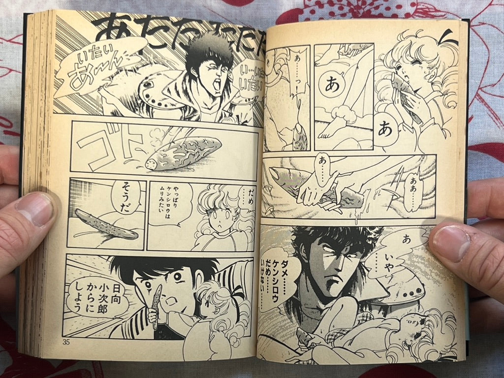 Not There Yet! - bunko size by Nakata Aki (1988)