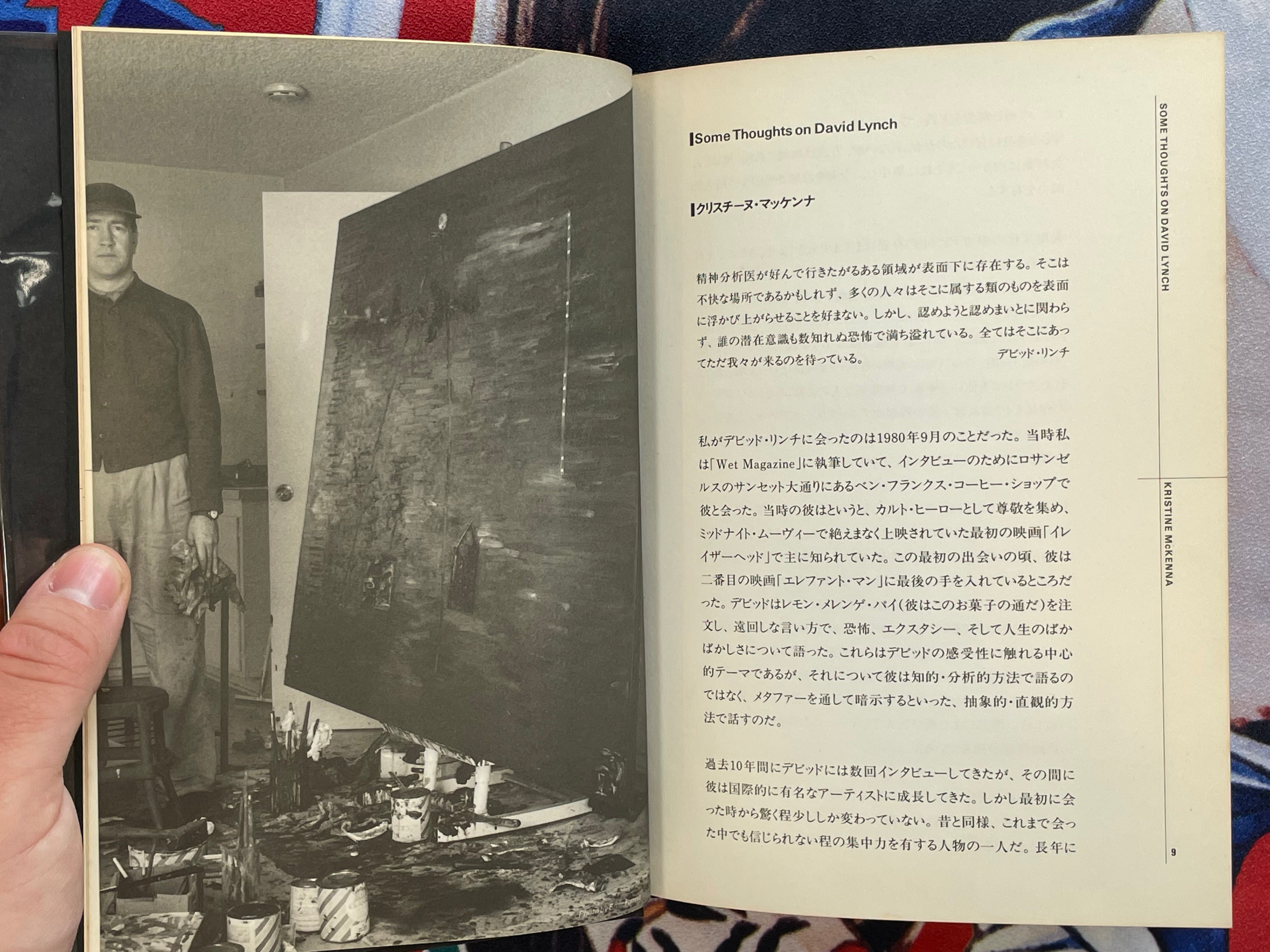 David Lynch Paintings Drawings w/ English Translation Supplemental by David Lynch & Touko Museum of Contemporary Art (1991)-thumbmail-3