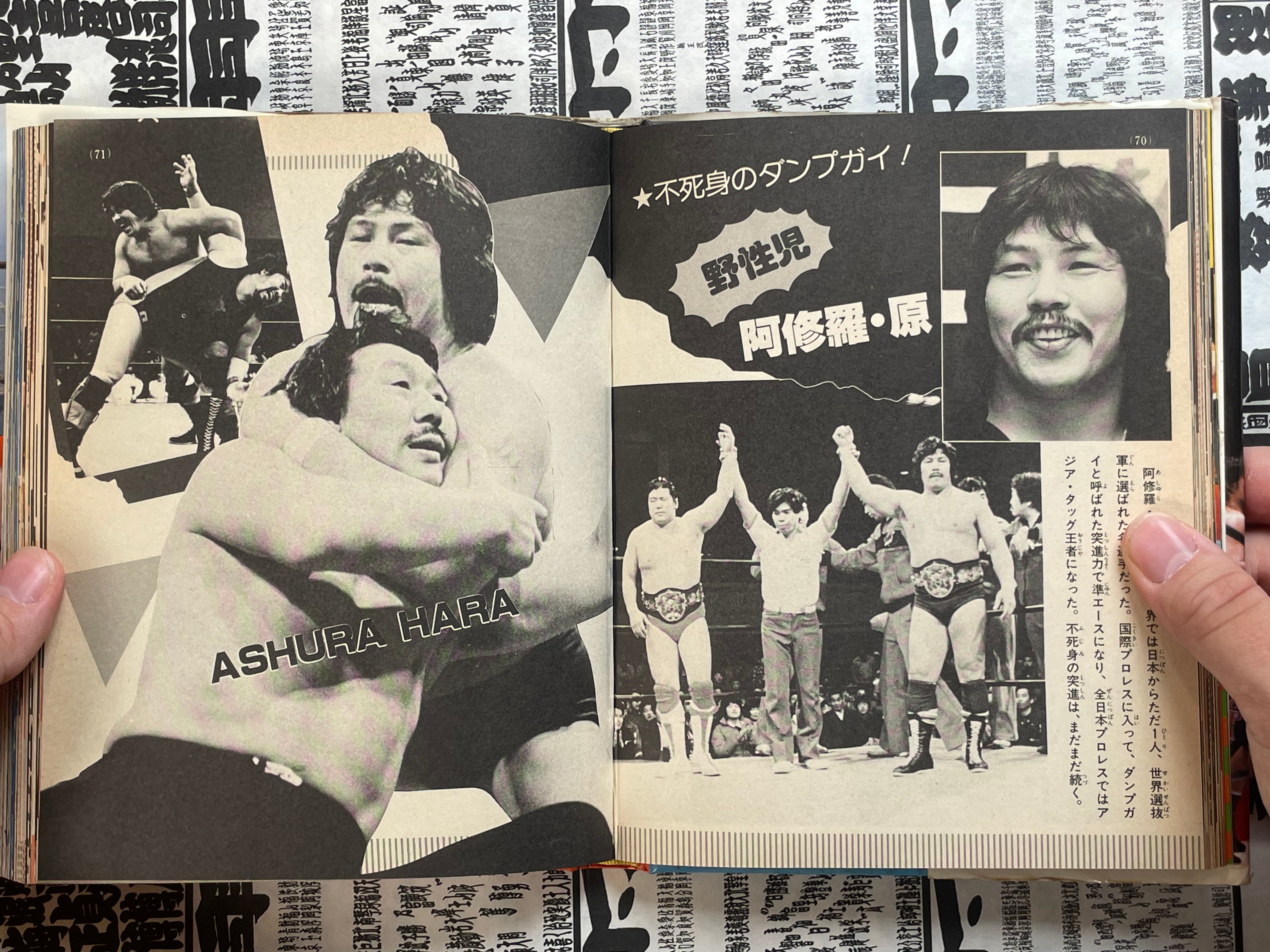 Let's Fight Pro Wrestling Picture Book by Shogakukan (1987)-thumbmail-11