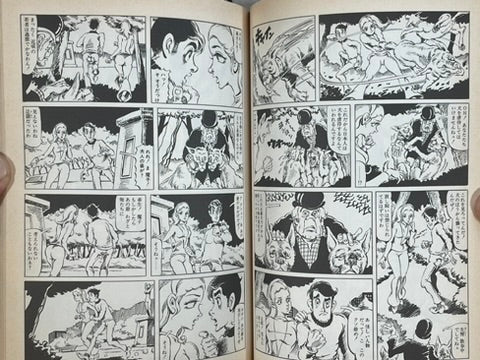 Super Lady Mako in Action by Shiro Kasama (1998)