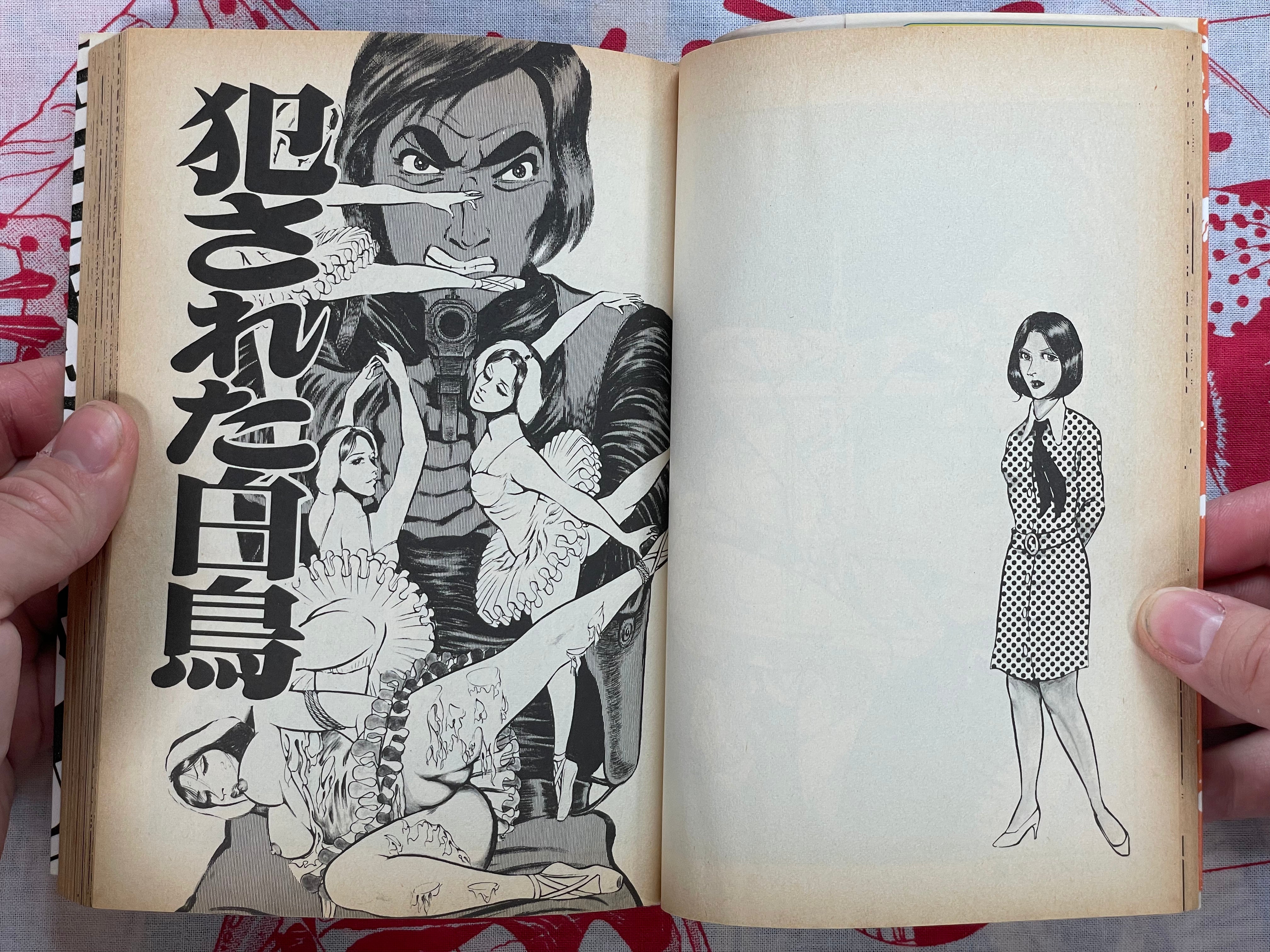 Crazed Sensitive Doll by Dirty Matsumoto (1992)