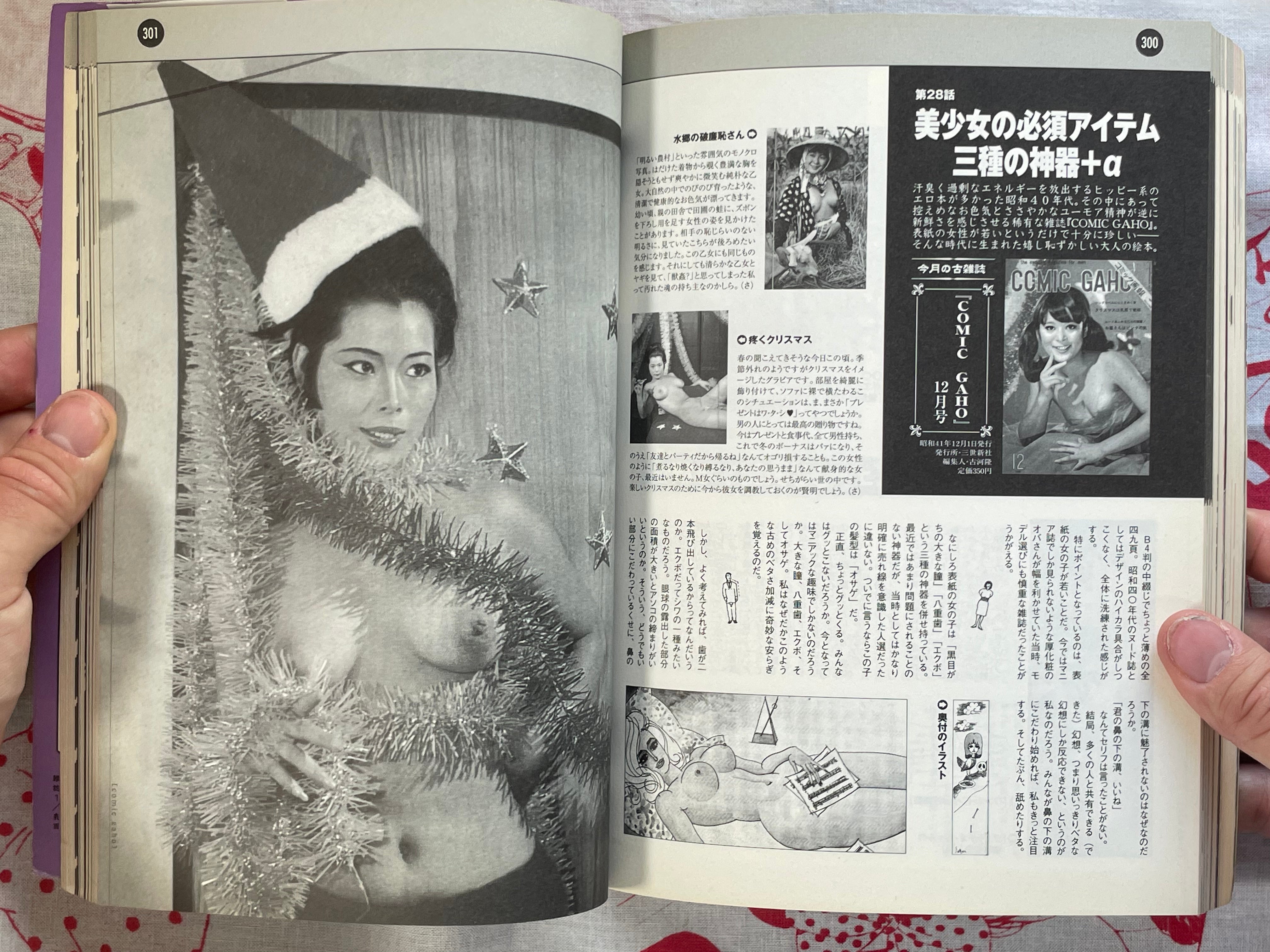 The Essential Guide to Japanese Sexy Magazines of 1956-1980 (2001)