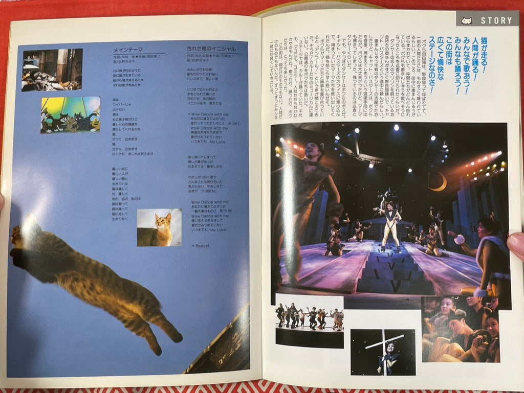 Movie Pamphlet: Cats on Park Street (1989)