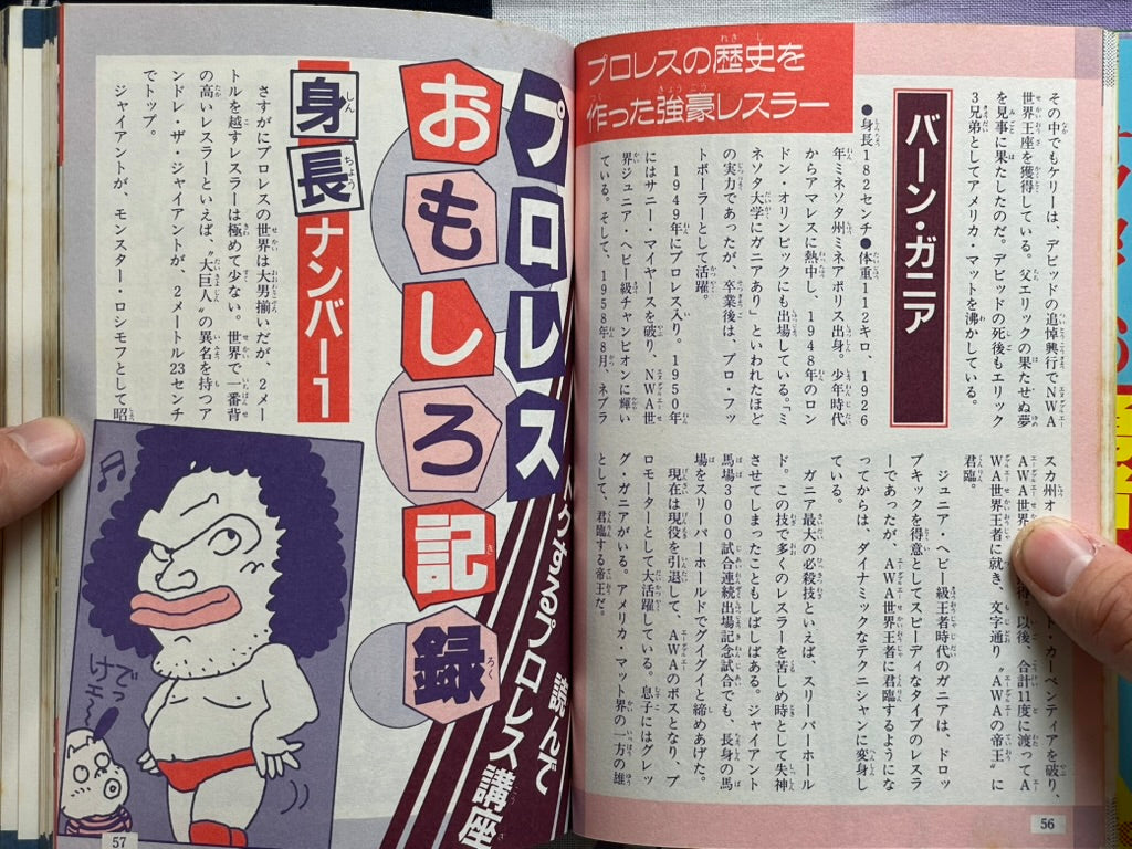 Definitive Edition: Introduction to Pro Wrestling by Big Wrestler (1984)