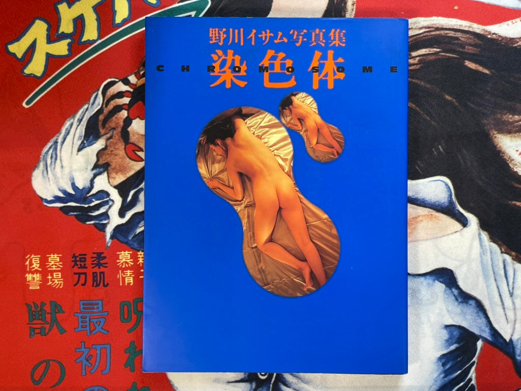 Chromosome by Nogawa Isamu (1993)-thumbmail-1