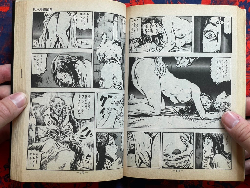 Humiliation Ritual by Kasama Shiro (1982)