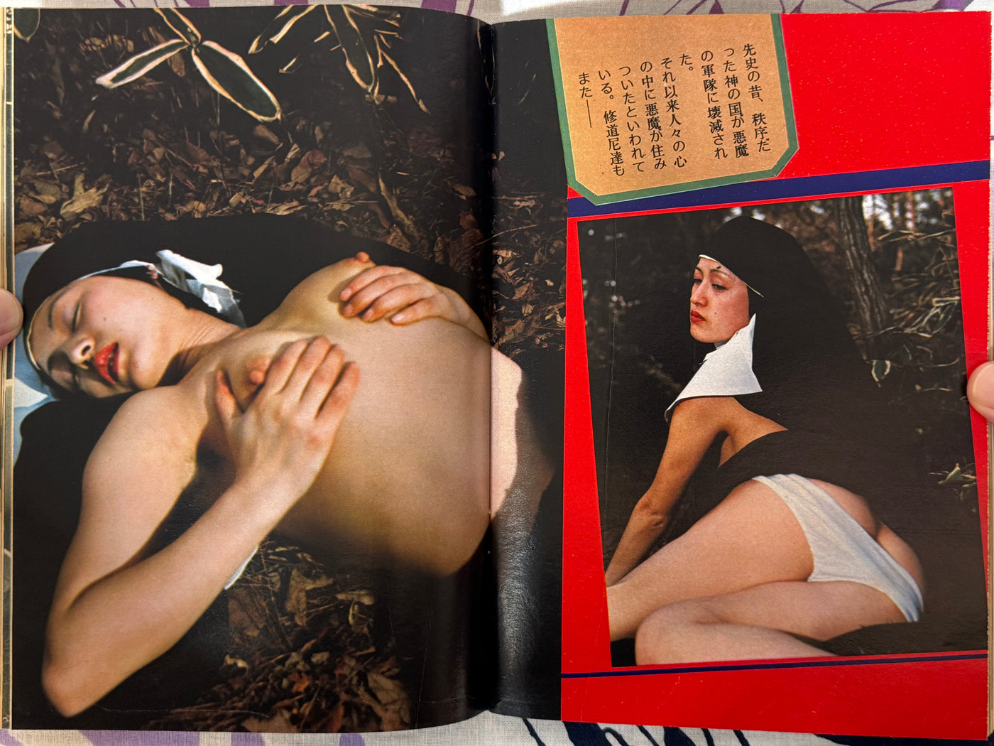 Coquette Magazine Vol. 47 (7/1975)