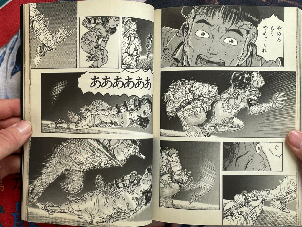 Denmu-Jiku by Takayama Kazumasa (1995)