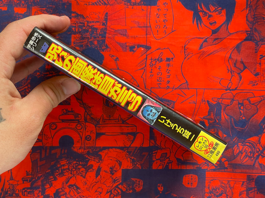 The Cursed Image has Three Eyes by Ikeuchi Seiichi (1985)