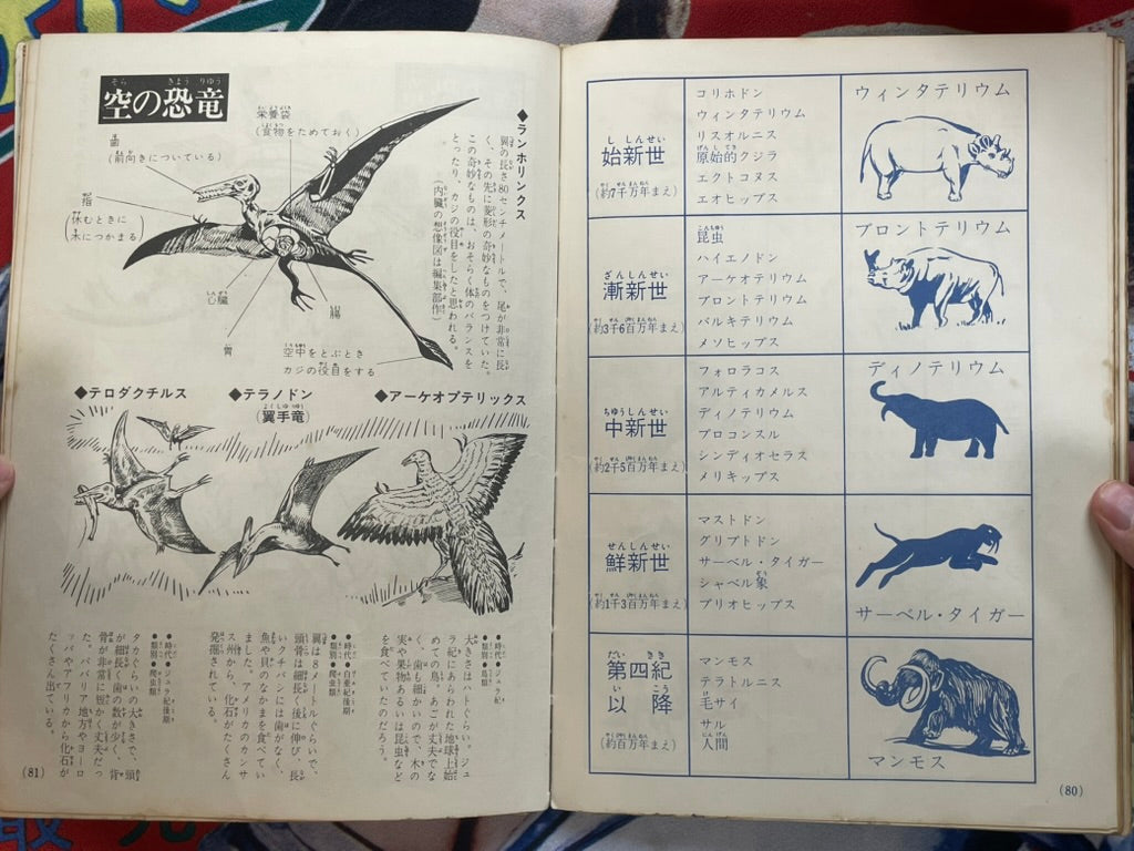 World Kaiju Encyclopedia w/ mini sonosheet - Hardcover (1969)-thumbmail-17
