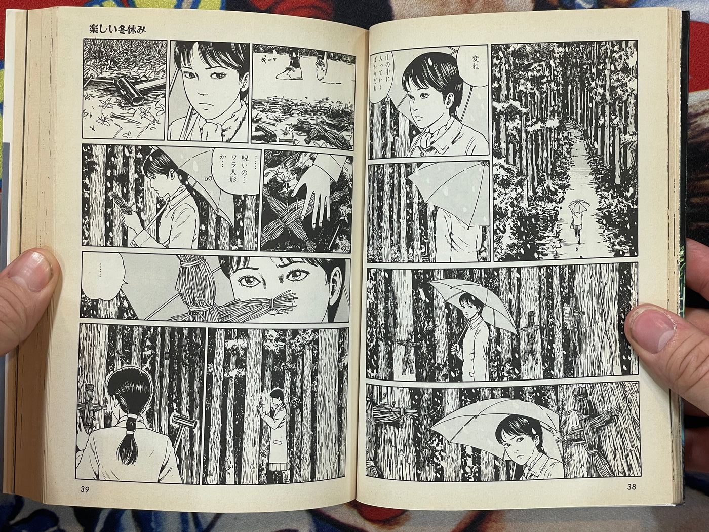 The Horror World of Junji Ito Collection #5: Soichi's Fun Dairy (1998)