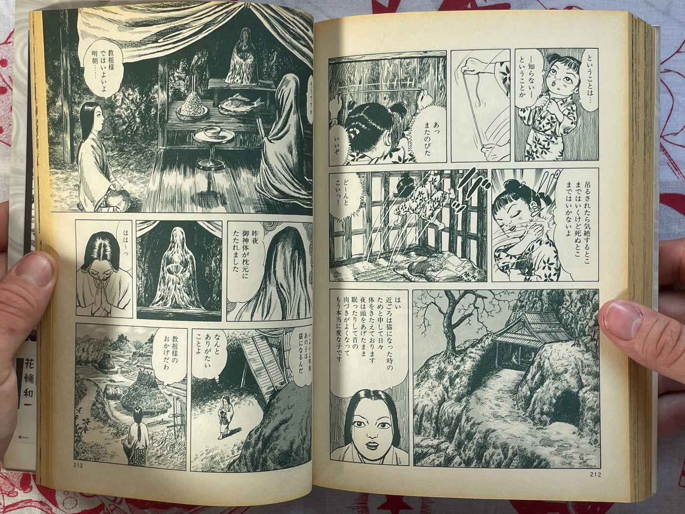 Nekotani / Cat Valley - Revised Edition by Hanawa Kazuichi (2007)