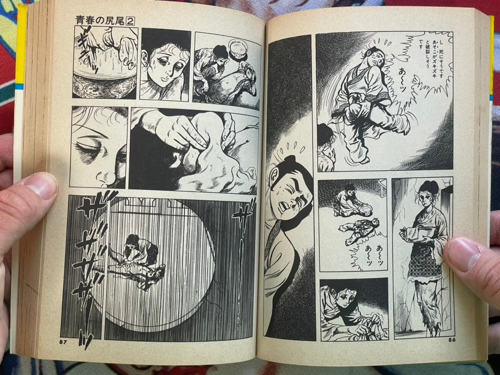Tail of Youth #2 by Kazuo Koike & Jin Hirano (1982)