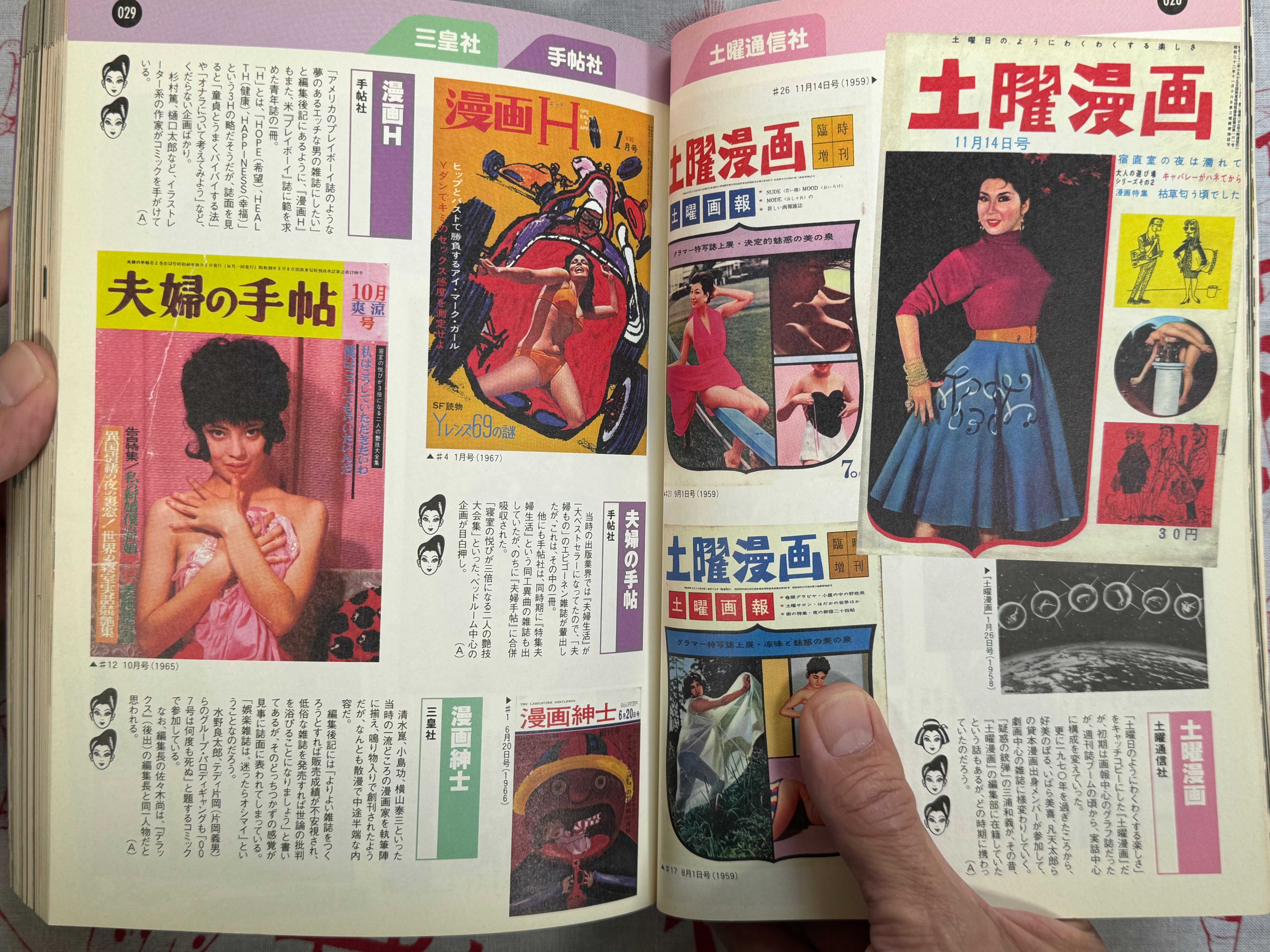 The Essential Guide to Japanese Sexy Magazines of 1956-1980 (2001)