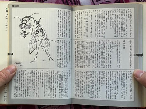 Kamen Rider V3 Card - Hardcover by Tetsuya Tsutsumi (1998)