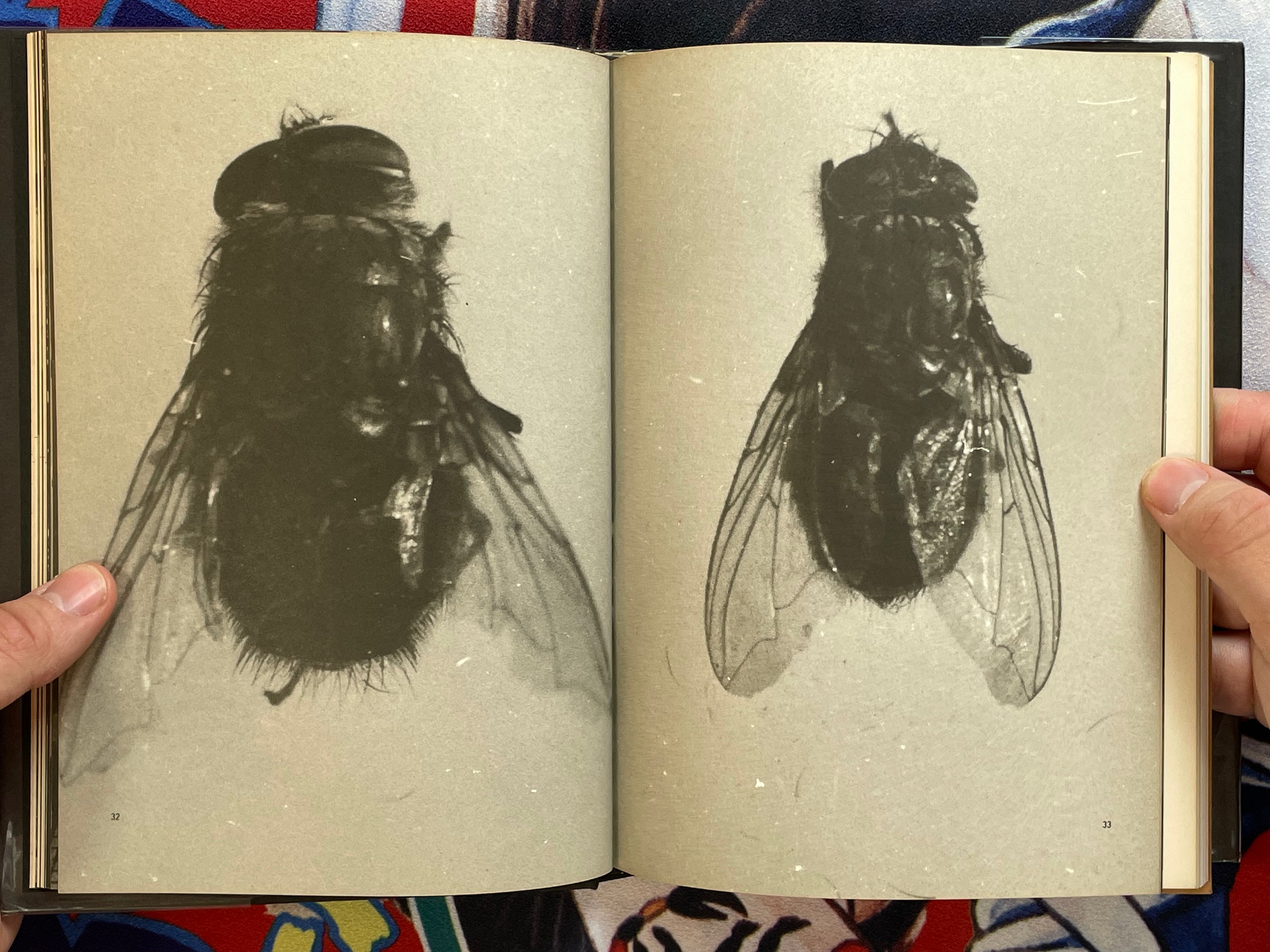 David Lynch Paintings Drawings w/ English Translation Supplemental by David Lynch & Touko Museum of Contemporary Art (1991)-thumbmail-8