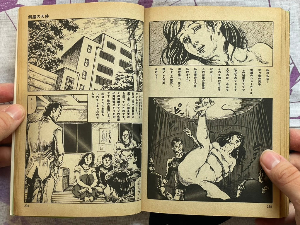 Lecherous Diary by Kasama Shiro (1978)