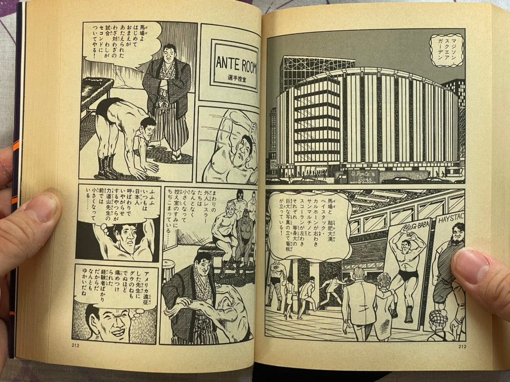 Giant Typhoon Vol. 1-4 by Tsuji Naoki (1990)