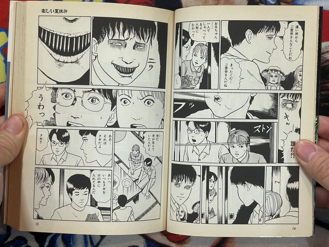 The Horror World of Junji Ito Collection #5: Soichi's Fun Dairy (1998)