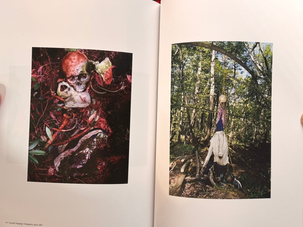 The Dead (2024) by Tsurisaki Kiyotaka