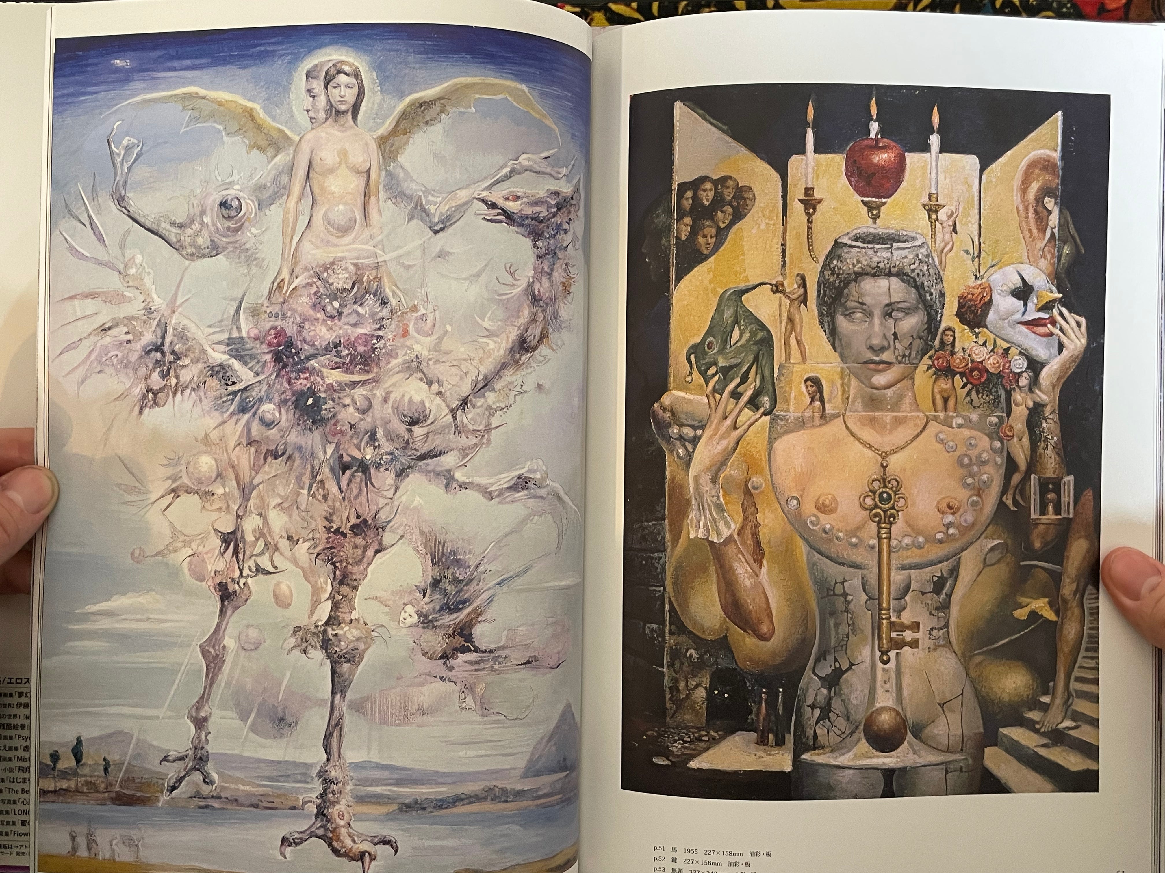 Ran Akiyoshi Illusory Works: Faraway Primordial Illusions - Hardcover (2025)