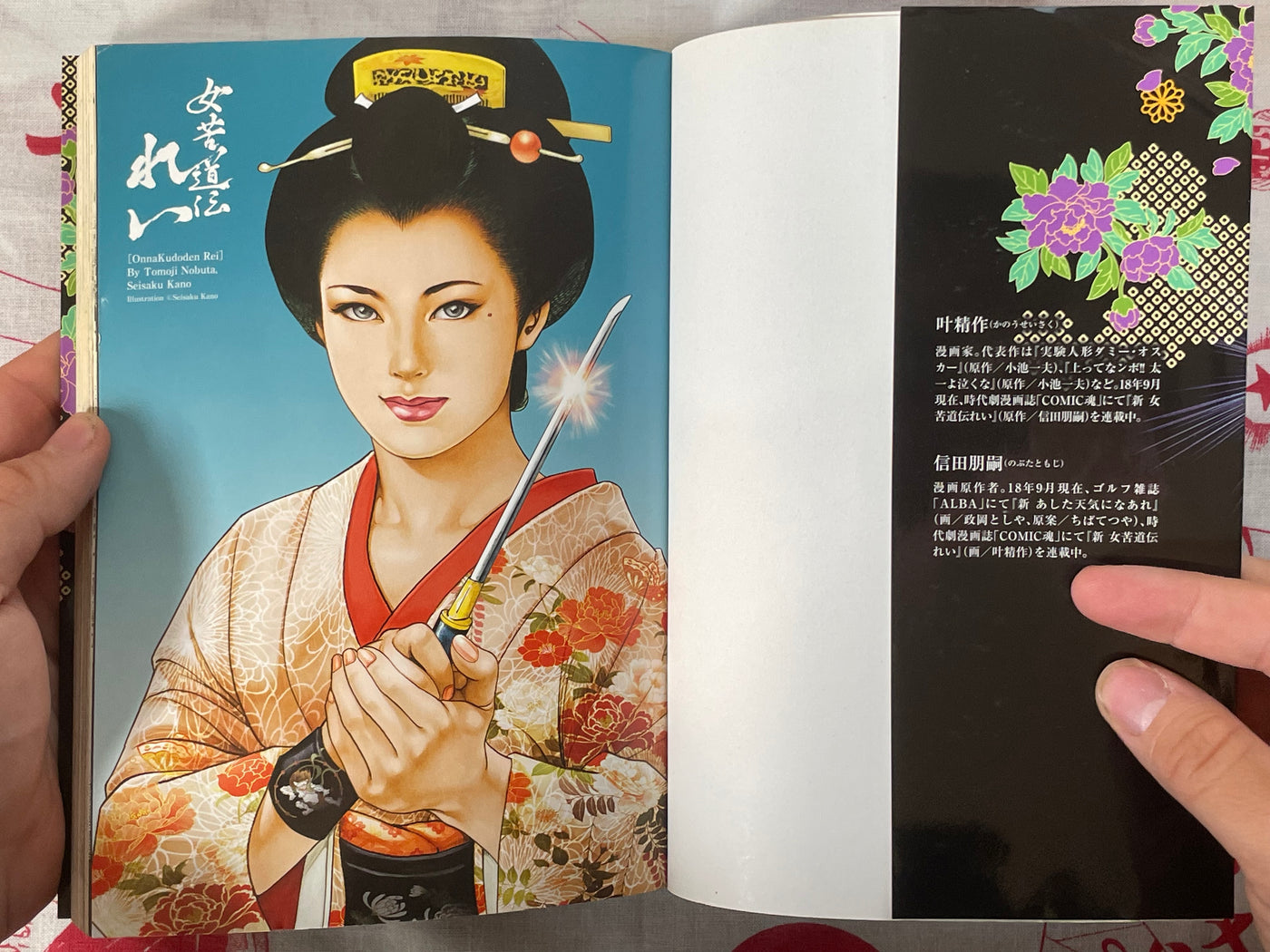 Woman's Suffering Legend Rei 2 Volume Full Set by Seisaku Kanoh (2018)