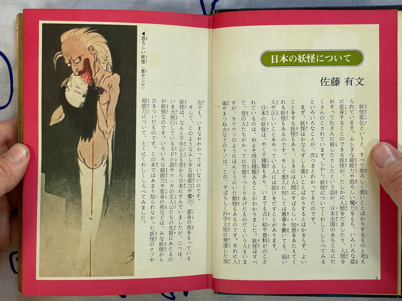 Japan Yokai Pictorial - Hardcover by Sato Arifumi (1972)