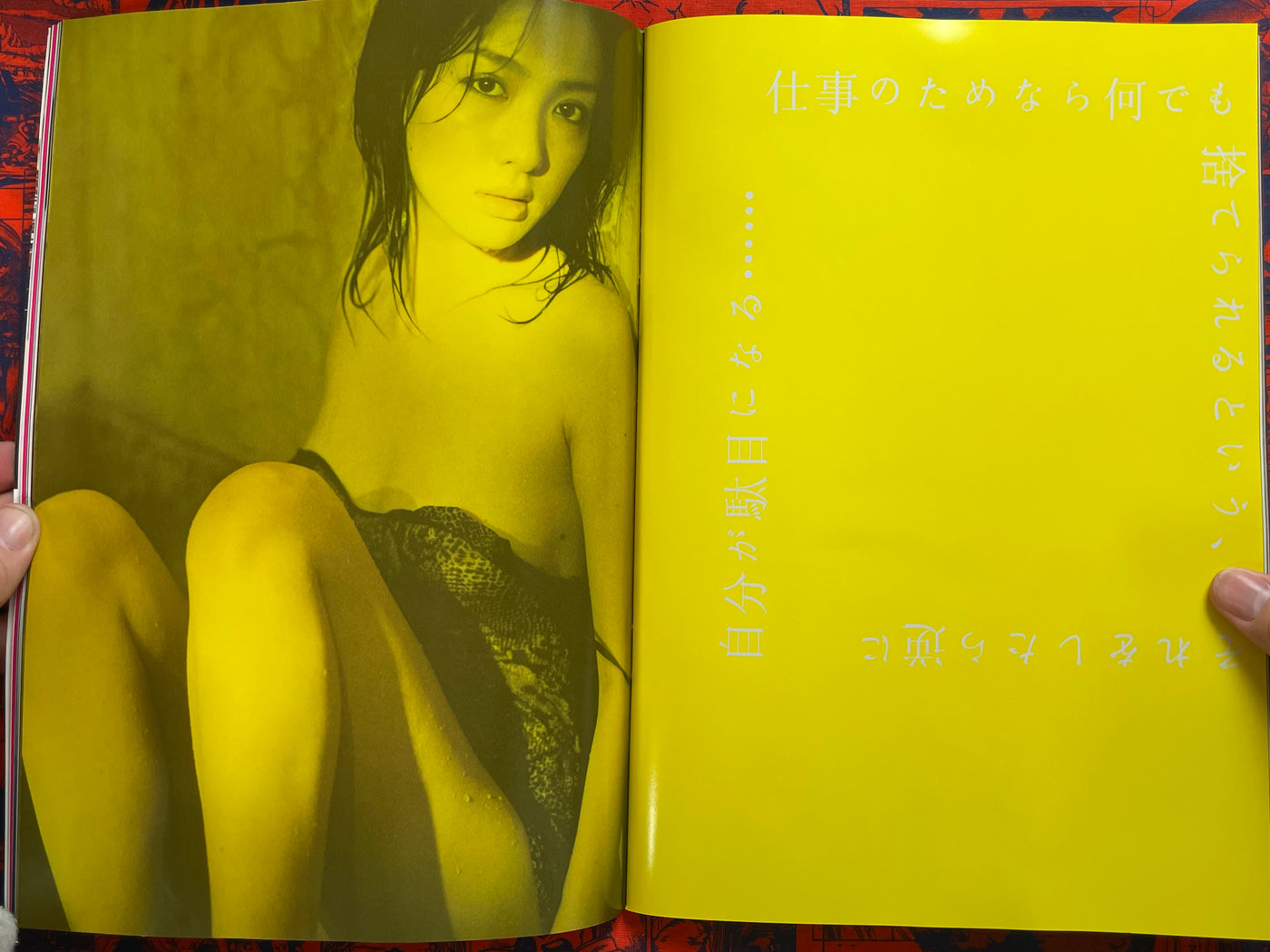 Monthly Shincho Mook: Seto Saki II (2009)