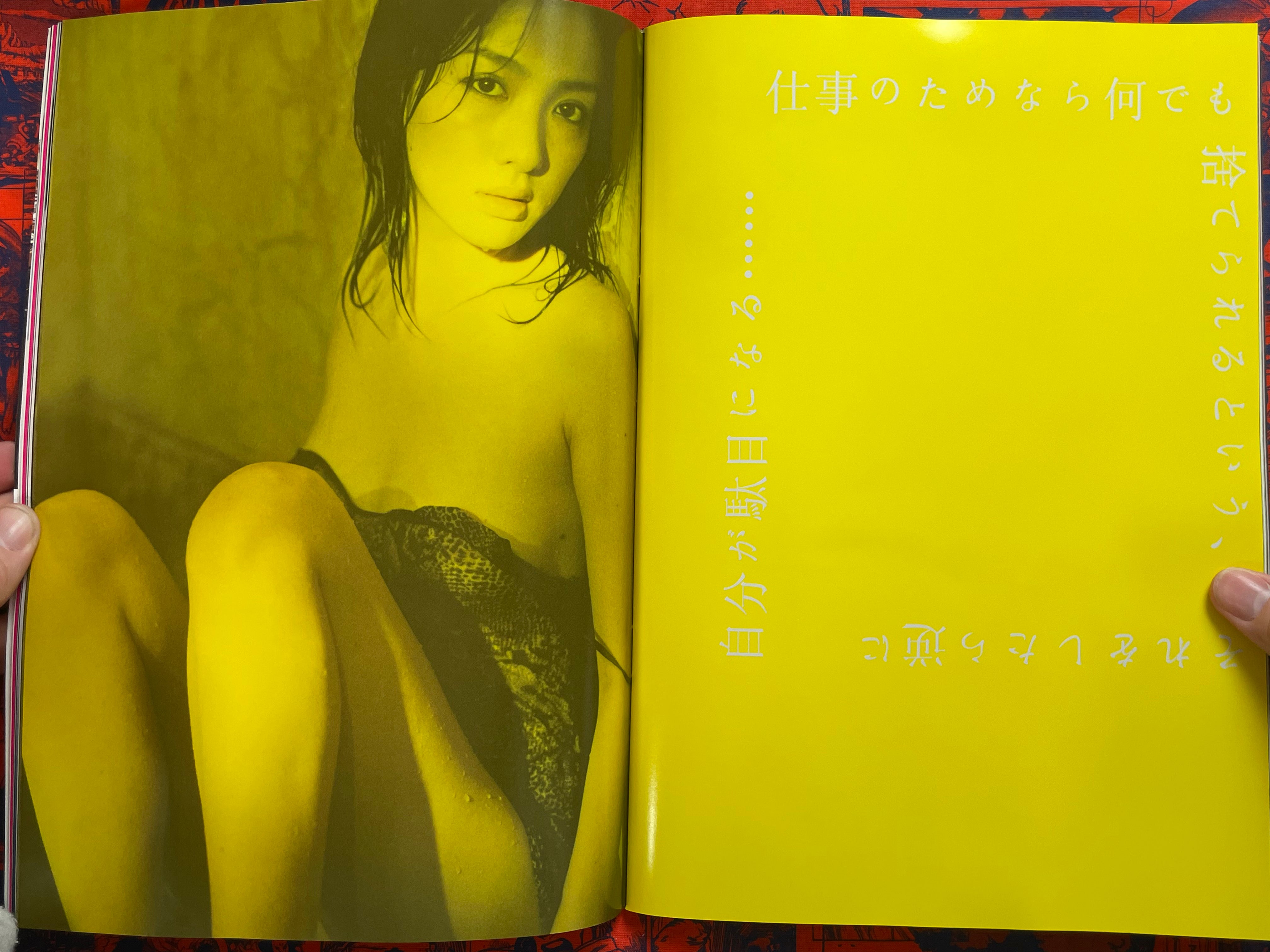 Monthly Shincho Mook: Seto Saki II (2009)