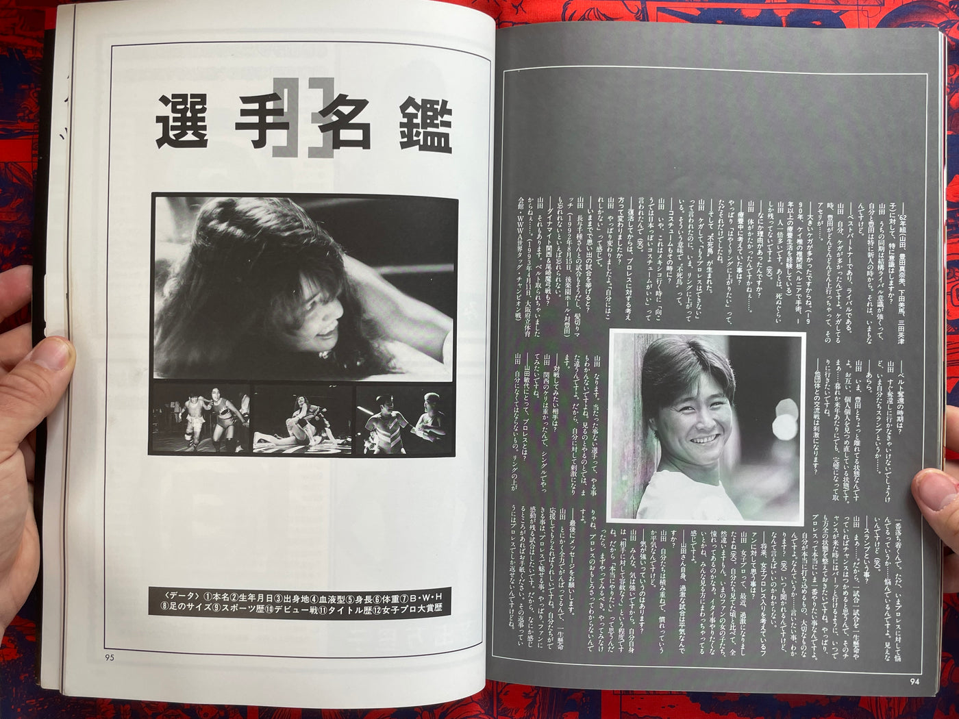 All Japan Women's Pro Wrestling 25th Anniversary Book (1993)