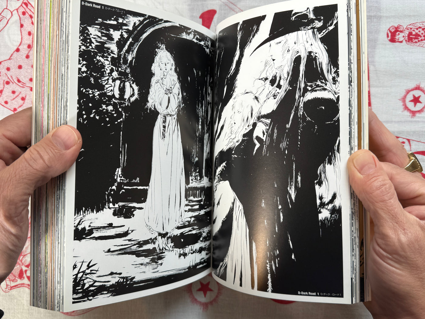Vampire Hunter D Art Collection Dark Horse Edition (2000)