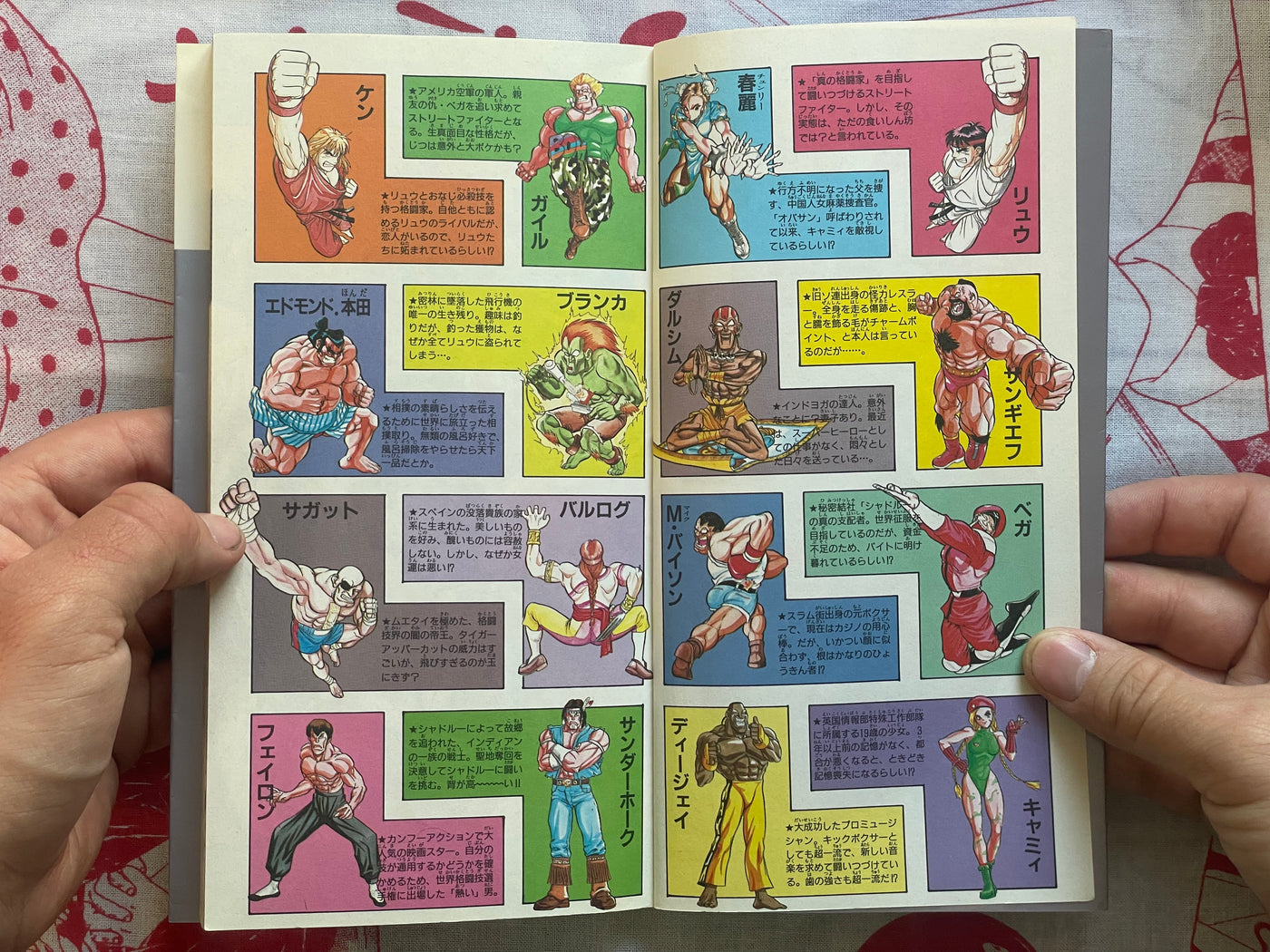 Street Fighter II 4 Panel Gag Gaiden #5 by Takashi Hashiguchi (1995)