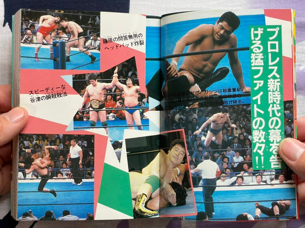 Pro Wrestling Finishing Move Encyclopedia - Bunko Edition (1984)