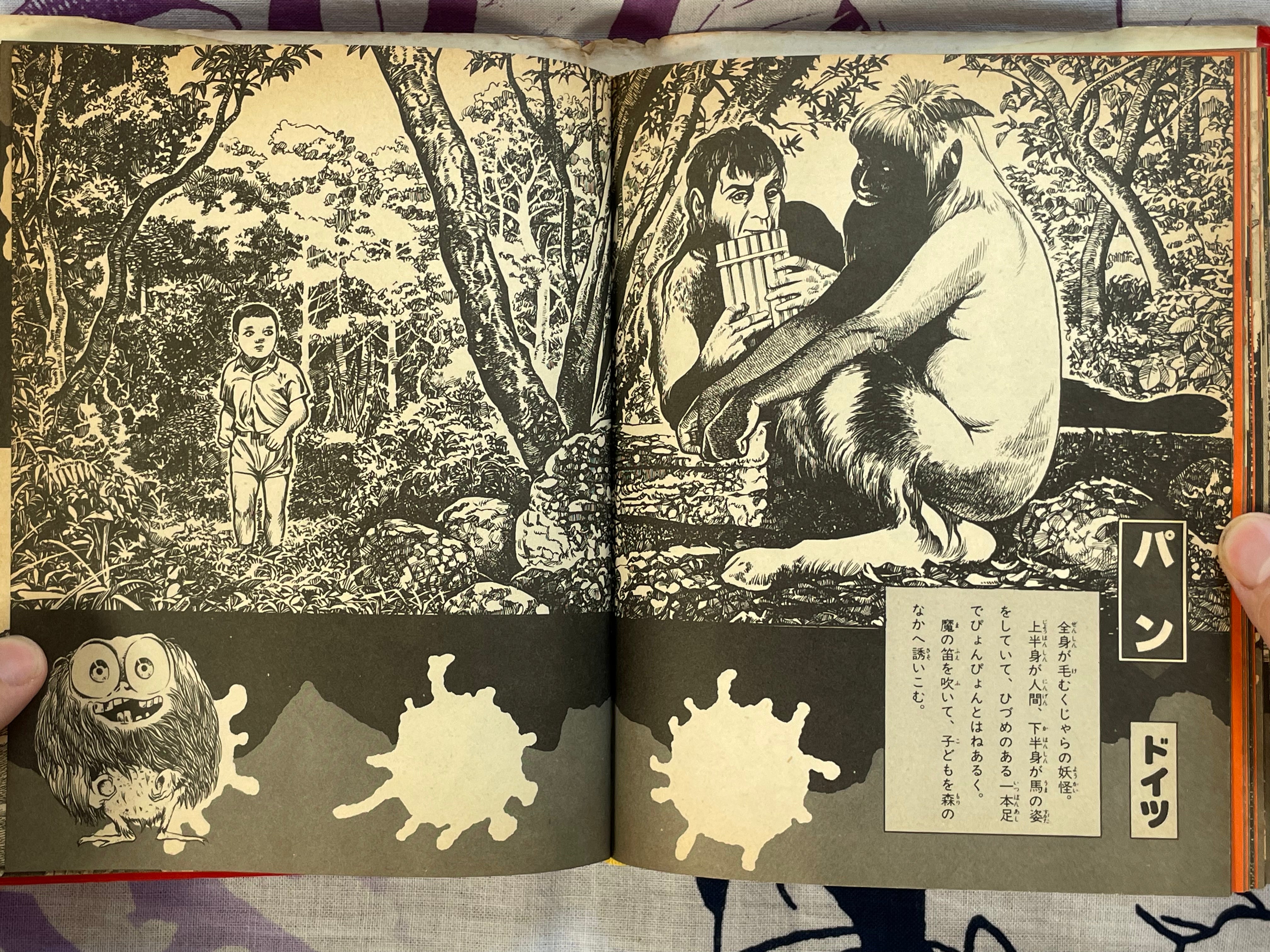 Introduction to Yokai of the World #76 by Shogakukan ft. Mizuki Shigeru (1979)