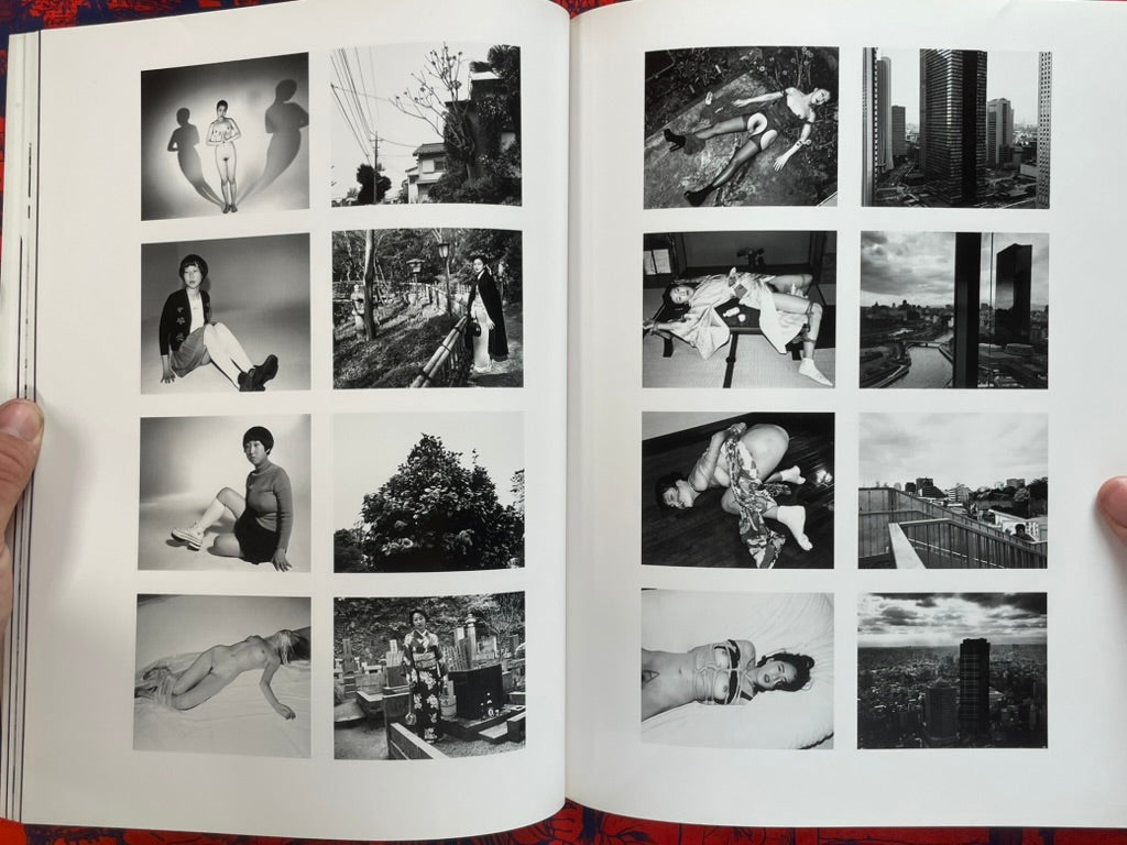 Deja-Vu No. 20 Summer 1995: Araki Nobuyoshi and the "I Novel" (1995)