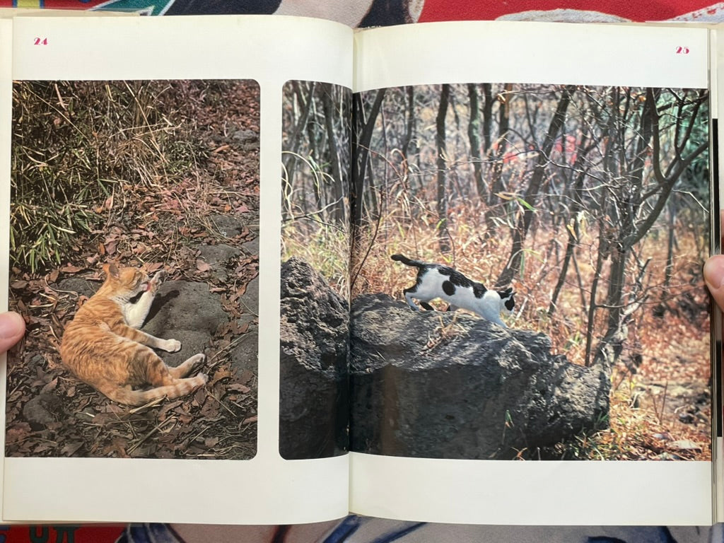 Carefree Japanese Cats - Hardcover by Honda Nobuo (1977)-thumbmail-8