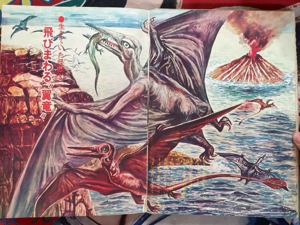 World Kaiju Encyclopedia w/ mini sonosheet - Hardcover (1969)-thumbmail-10