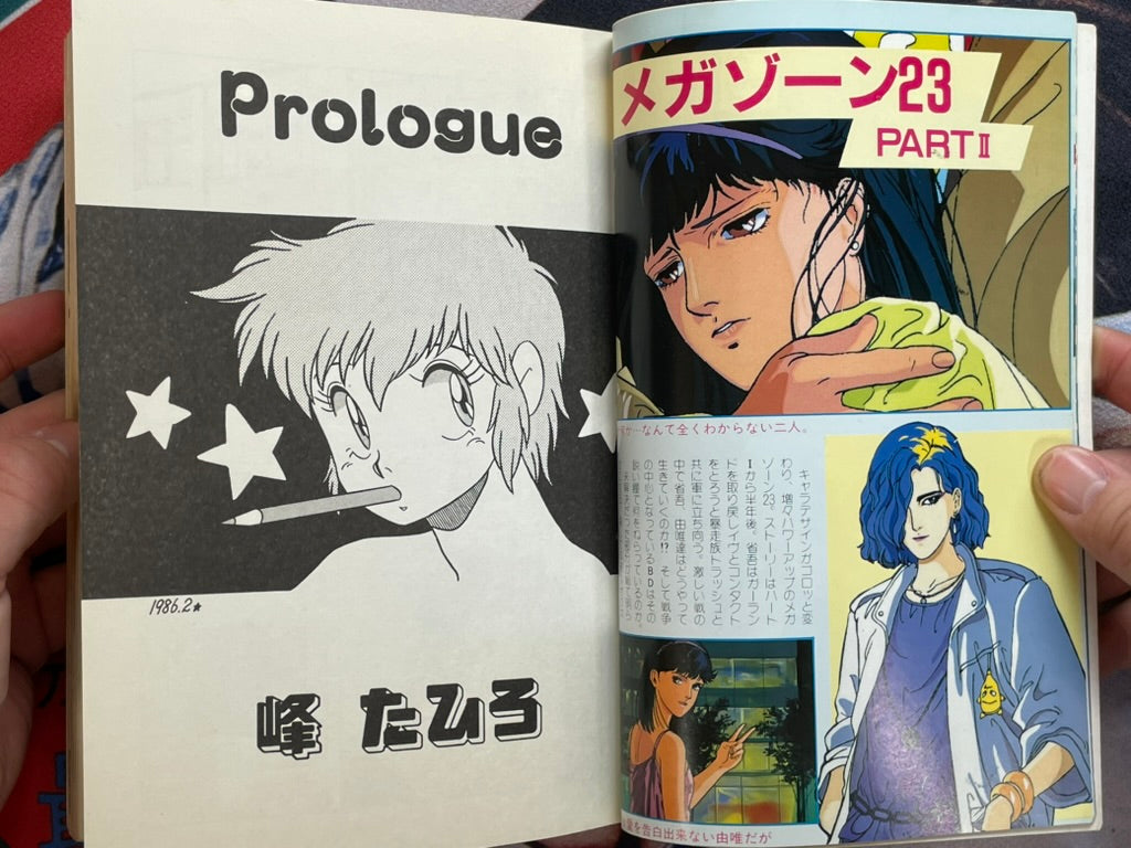 Pumpkin No. 3: Video Anime Best Collection (1986)