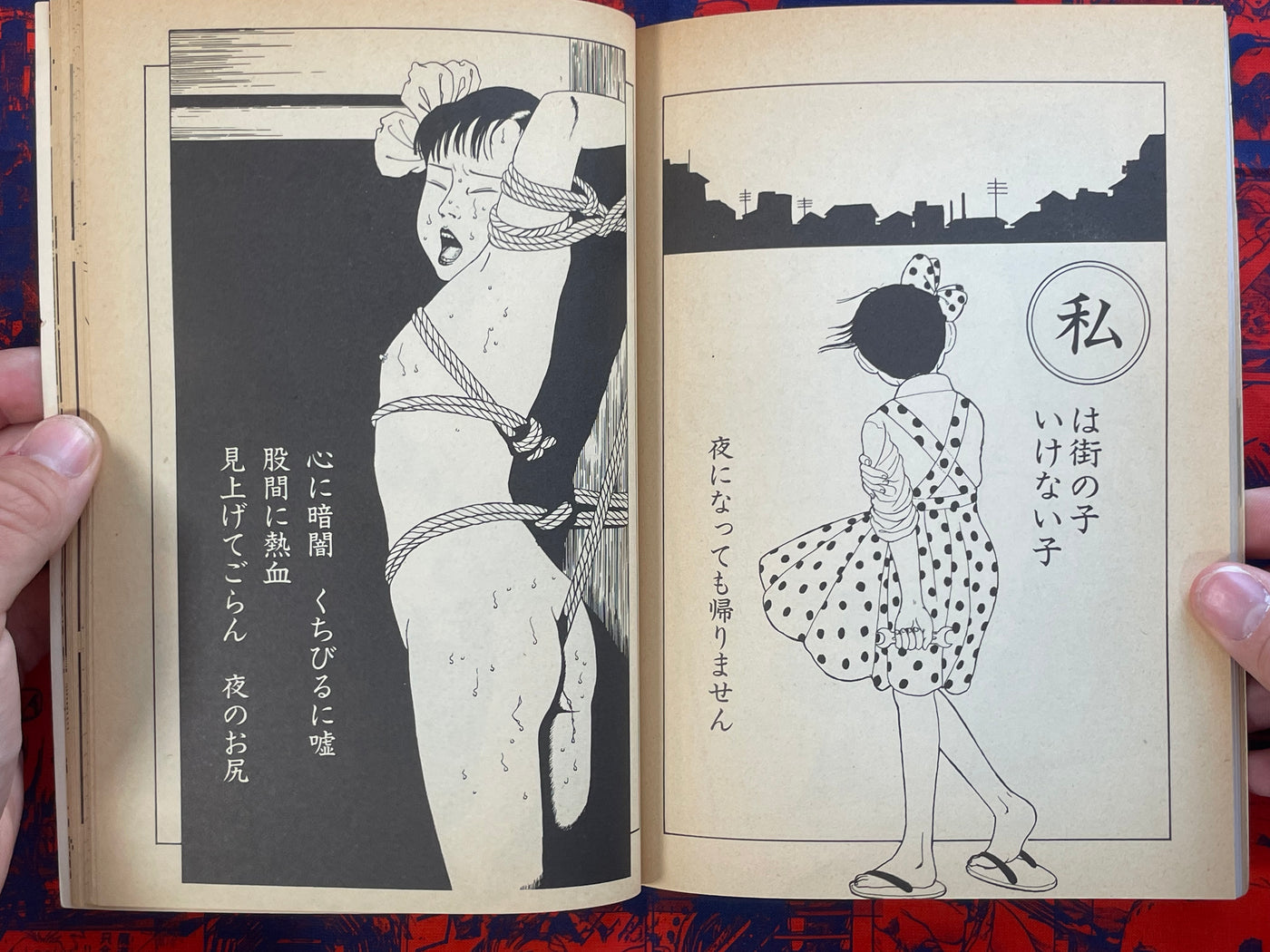 Tokyo Otona Club Vol. 4 (1984)