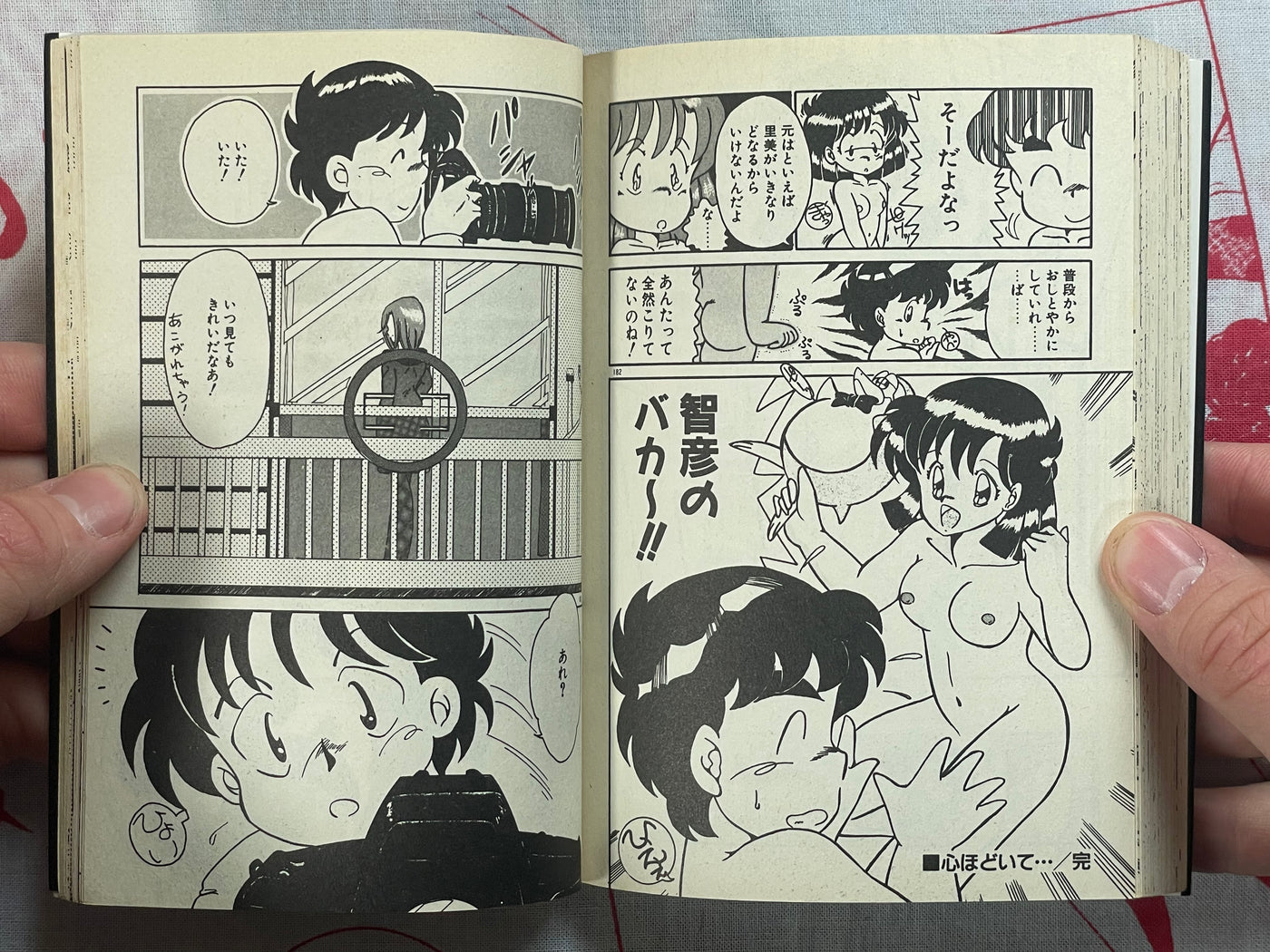 Private Caution - bunko size by Akifuji Satoshi (1991)