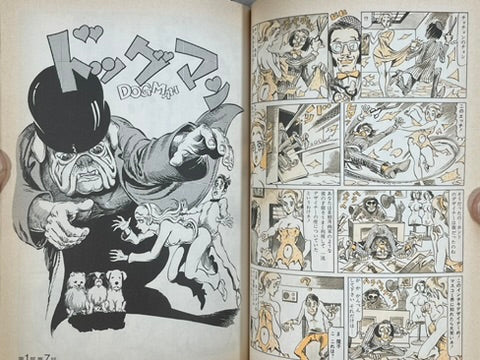 Super Lady Mako in Action by Shiro Kasama (1998)