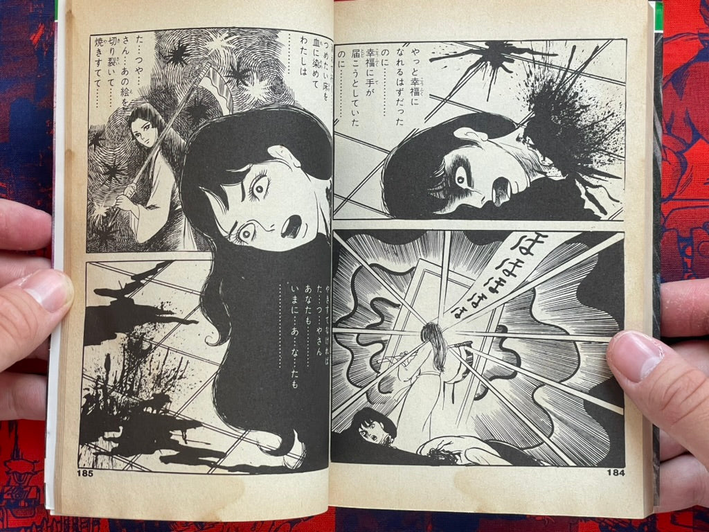 The Head of the Bloody Mansion by Saga Miyuki (1987)