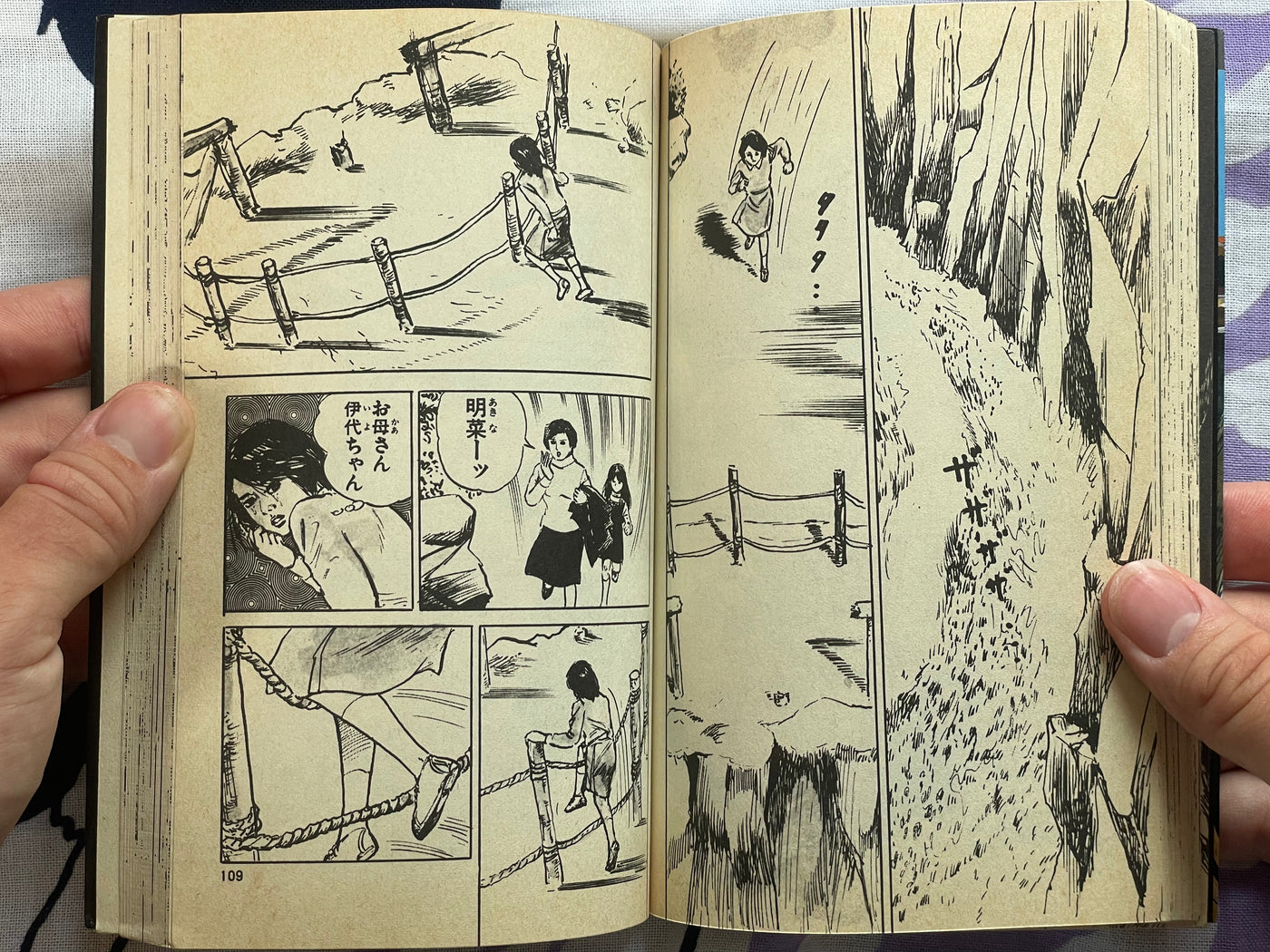 Sisters Cursed by the Dead Face by Ibara Miki (1984)