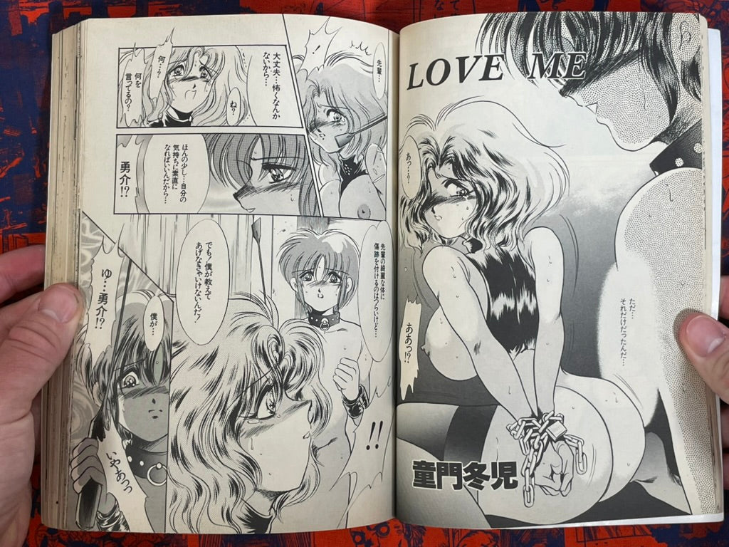 Flamingo Magazine (6/1995)