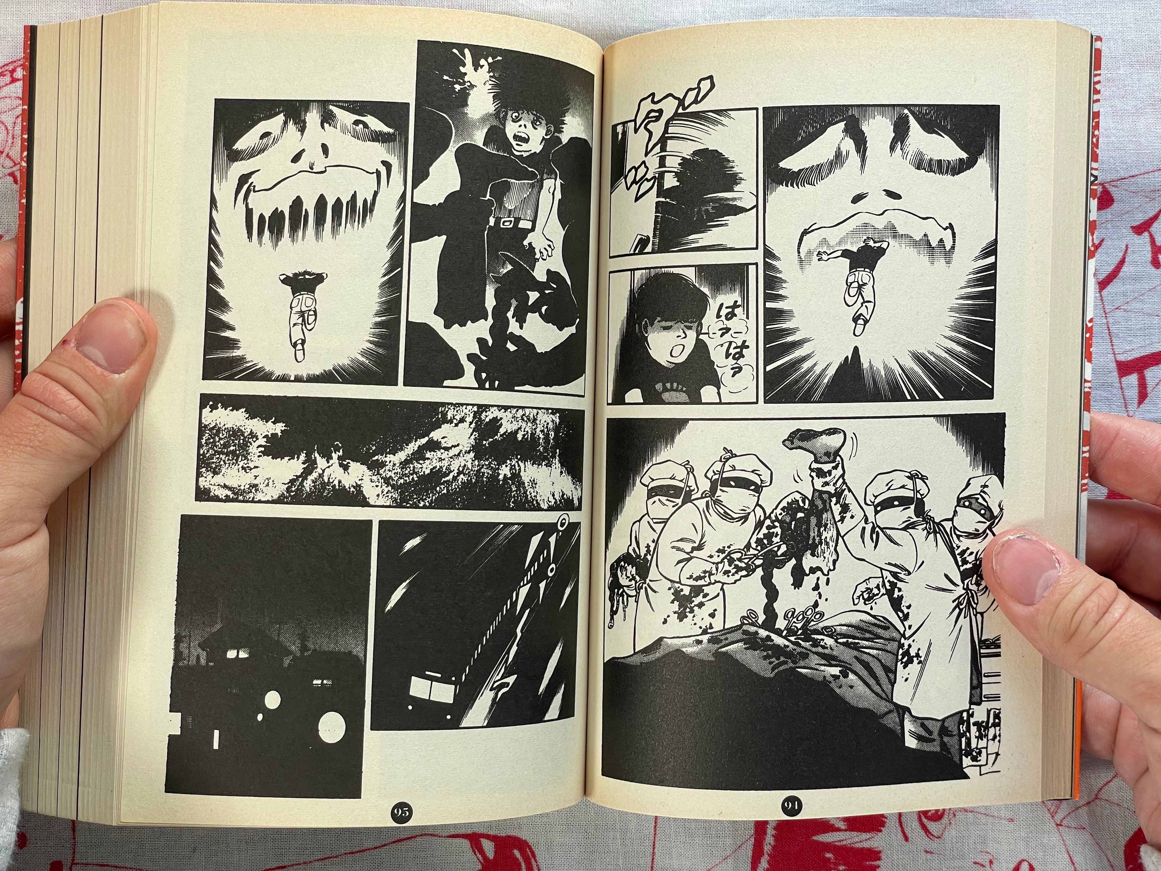 Cursed Manga Fan by Tsuruoka Hosai (1998)