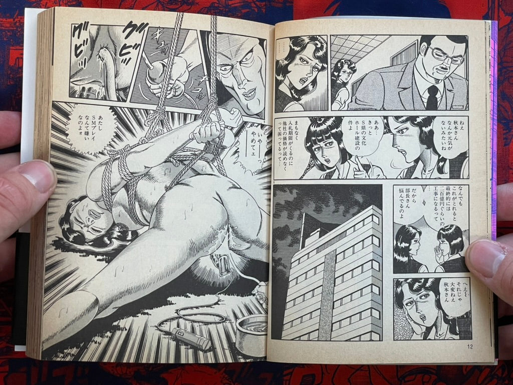 OL Adultery Hunting by Koji Sugito - bunko size (1990)