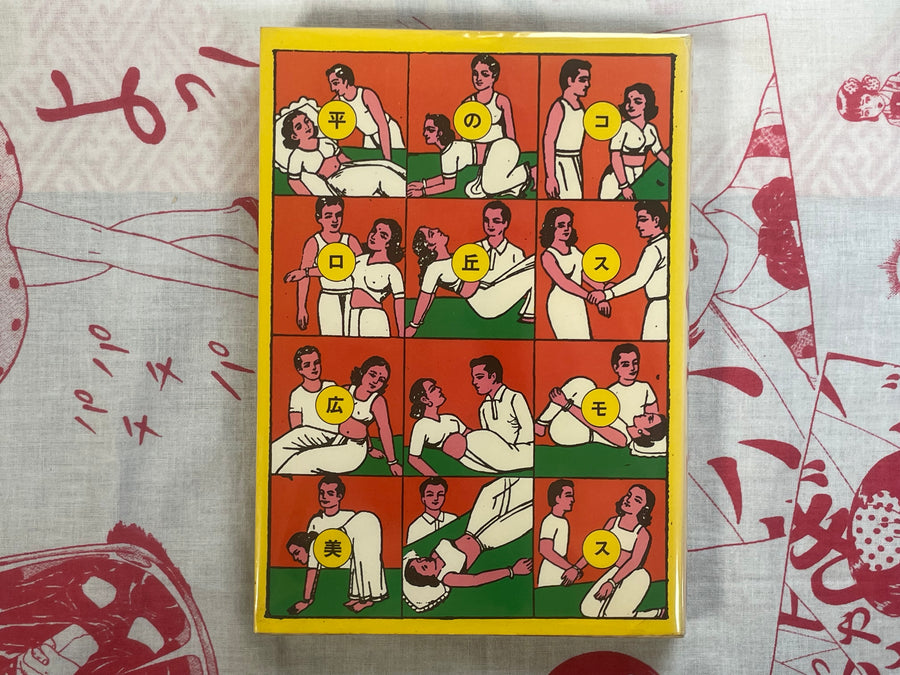 Cosmos Hill by Hiromi Hiraguchi (1978)