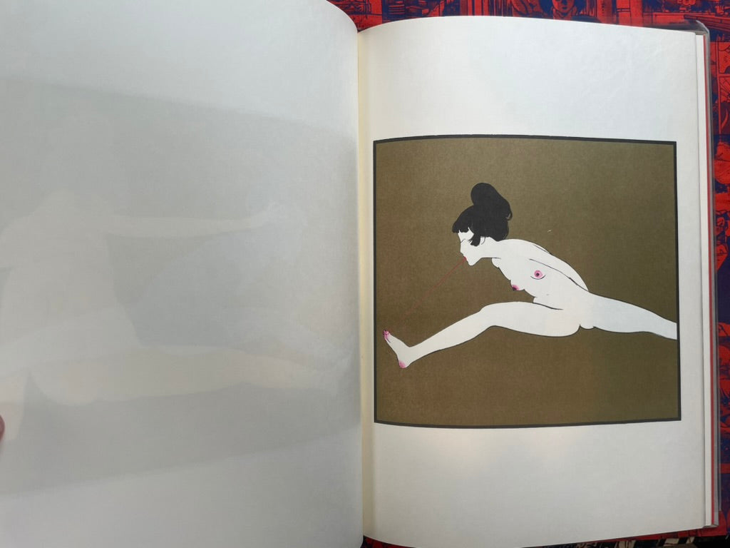 Minscape Beauty Illustrations - Oversized, Slipcover, Hardcover by Hayashi Seiichi (1976)